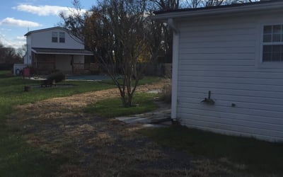 Photo of Ananda R.'s yard after getting tree care in Falls Church, VA