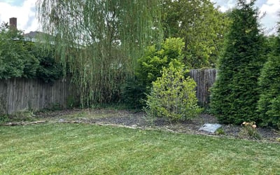 Photo of Sumo A.'s yard after getting lawn care in West Chester, OH