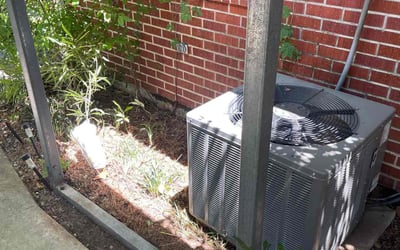 Photo of Andrea D.'s yard after getting landscaping in Greensburg, LA