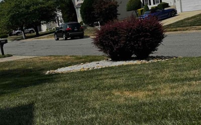 Photo of Michelle A.'s yard after getting landscaping in Paris, VA