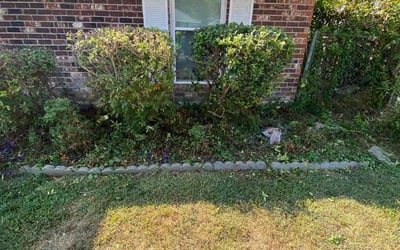Photo of Vanisha A.'s yard after getting landscaping in Greenwell Springs, LA