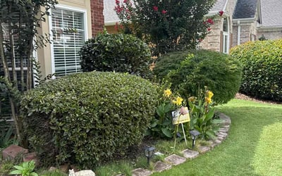 Photo of Fred E.'s yard after getting tree care in Tucker, GA