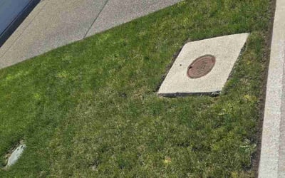 Photo of Michelle M.'s yard after getting landscaping in Kent, WA