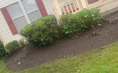 Photo of James W.'s yard after getting landscaping in Point Of Rocks, MD