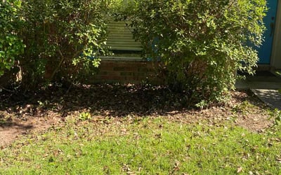 Photo of Michael J.'s yard after getting landscaping in Belle Chasse, LA