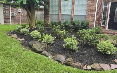Photo of Jack E.'s yard after getting tree care in Katy, TX