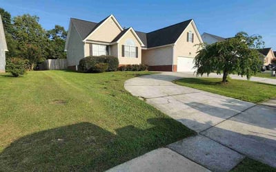 Photo of Craig M.'s yard after getting landscaping in Ringgold, GA