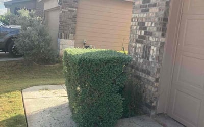 Photo of Jordan G.'s yard after getting landscaping in Smithville, TX
