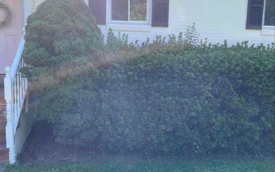 Photo of Joseph F.'s yard after getting landscaping in La Plata, MD