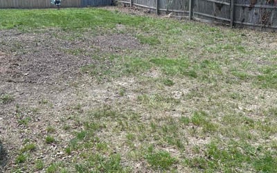 Photo of David S.'s yard after getting landscaping in New Castle, DE