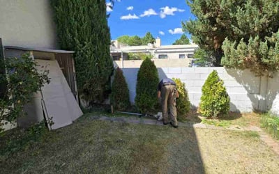 Photo of Janet A.'s yard after getting landscaping in Bernalillo, NM