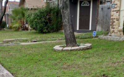 Photo of Llewellyn H.'s yard after getting landscaping in Milford, TX