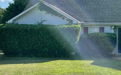 Photo of Nadege L.'s yard after getting tree care in Adairsville, GA