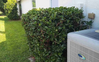 Photo of Katherine H.'s yard after getting landscaping in Spring Hill, FL