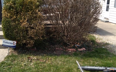 Photo of Brittany G.'s yard after getting landscaping in Elwood, IN