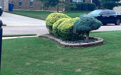 Photo of chelly J.'s yard after getting tree care in Jackson, GA