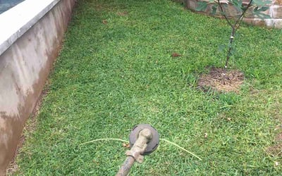 Photo of Jonathan D.'s yard after getting landscaping in Paige, TX