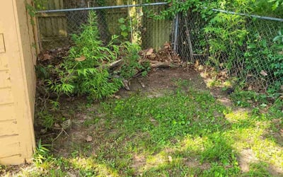 Photo of James M.'s yard after getting landscaping in Shreveport, LA