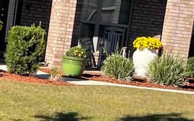 Photo of Brenda K.'s yard after getting landscaping in Mc David, FL
