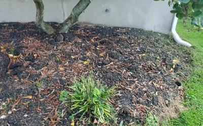 Photo of Alexander P.'s yard after getting landscaping in Orefield, PA