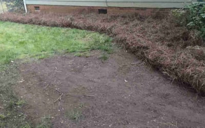 Photo of Jackie C.'s yard after getting landscaping in Iron Station, NC