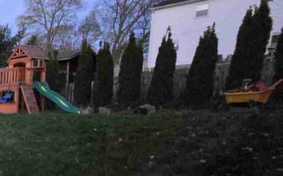 Photo of Susan F.'s yard after getting landscaping in Wickliffe, OH