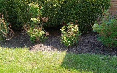 Photo of Melanie B.'s yard after getting landscaping in Heath, OH