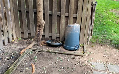 Photo of Kathleen C.'s yard after getting landscaping in Castleton, VA