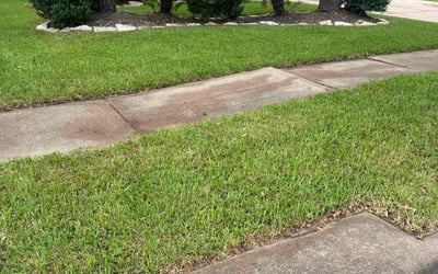 Photo of Micah B.'s yard after getting landscaping in Katy, TX