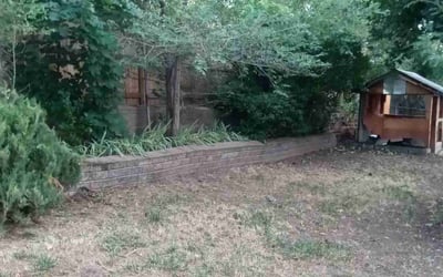 Photo of Valerie M.'s yard after getting tree care in Pine, CO