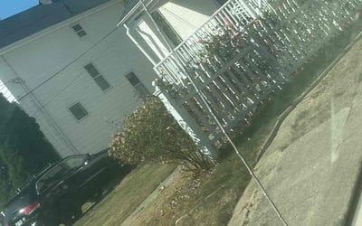 Photo of Stephanie B.'s yard after getting landscaping in Augusta, KY