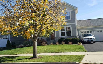 Photo of Tomeka H.'s yard after getting tree care in Frankfort, IL