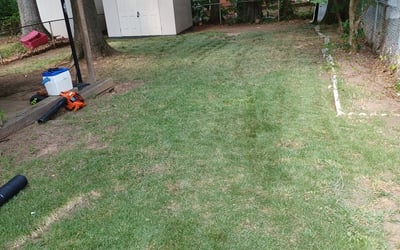 Photo of Lisa D.'s yard after getting landscaping in Ranson, WV