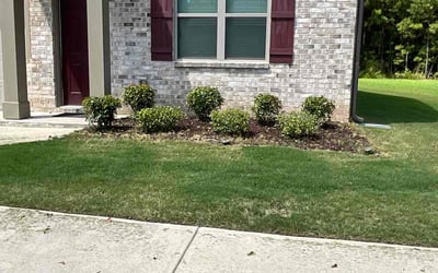Photo of Shawnell F.'s yard after getting landscaping in Moreland, GA