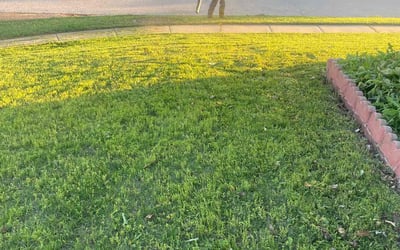 Photo of Kevin S.'s yard after getting landscaping in Yukon, OK