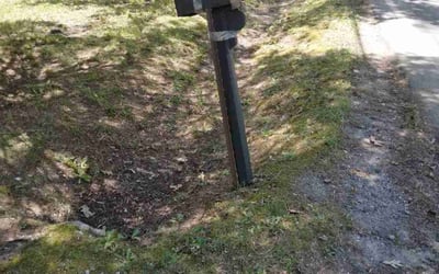 Photo of James W.'s yard after getting landscaping in Summerfield, NC