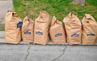 Photo of Lisa K.'s yard after getting landscaping in Ann Arbor, MI