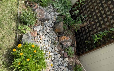 Photo of Debania C.'s yard after getting tree care in Fairplay, CO