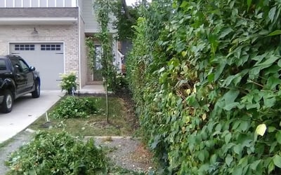 Photo of Christopher S.'s yard after getting landscaping in Mount Juliet, TN