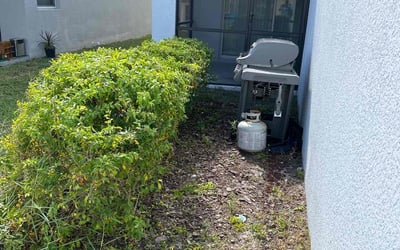 Photo of Joseph M.'s yard after getting landscaping in Grand Island, FL