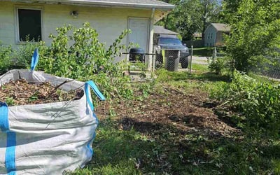 Photo of Christopher T.'s yard after getting landscaping in Belton, MO
