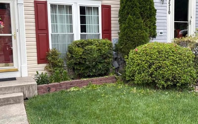 Photo of Katie W.'s yard after getting landscaping in Frederick, MD