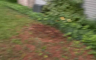 Photo of Gary H.'s yard after getting landscaping in Forest Hill, MD