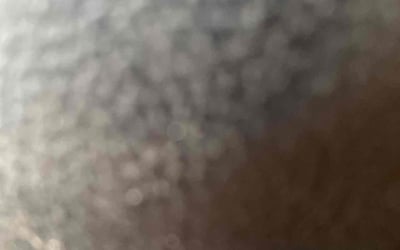 Photo of Brittany K.'s yard after getting tree care in Spring Branch, TX