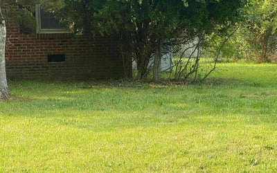 Photo of Robert K.'s yard after getting tree care in Four Oaks, NC