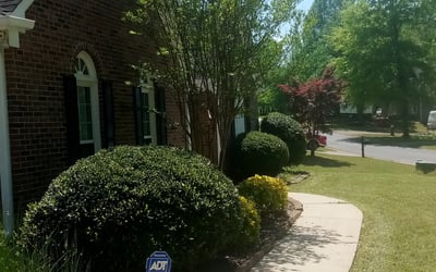Photo of Casey L.'s yard after getting landscaping in Jasper, GA