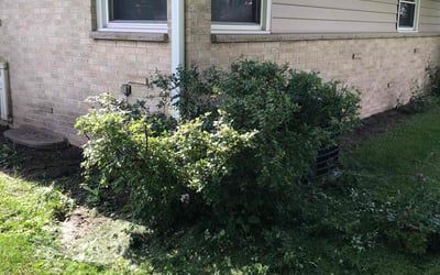Photo of Carl G.'s yard after getting landscaping in Jackson, WI