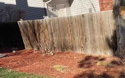 Photo of Brenda R.'s yard after getting landscaping in Grand Junction, CO