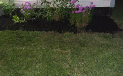 Photo of Shannon M.'s yard after getting landscaping in Cardington, OH