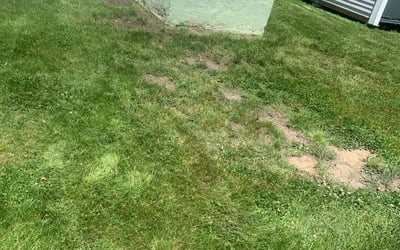 Photo of Justin J.'s yard after getting landscaping in Seekonk, MA